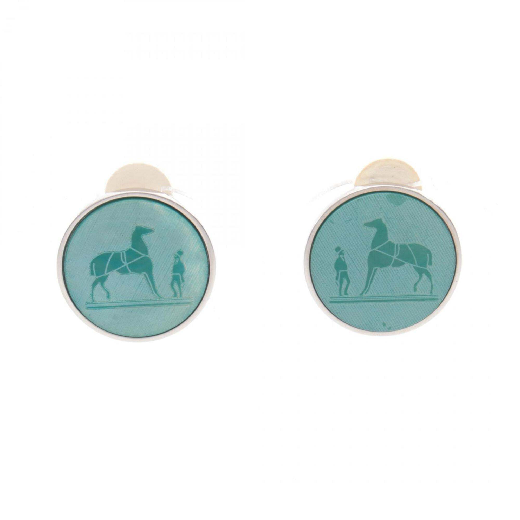 Hermes Hermes Corozo Earrings Jewelry Stainless Steel Womens Green Silver 357$